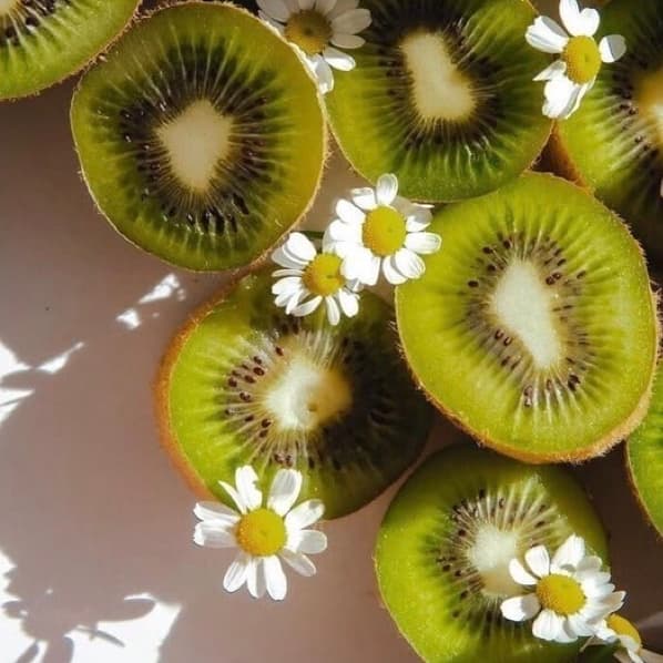 Kiwi Package at Victoria’s Styles in Grand Blanc, MI